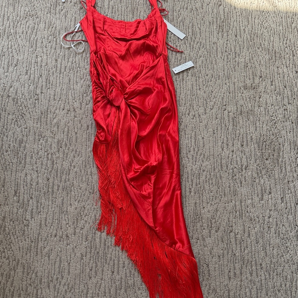 Elegant Red Fringe Dress